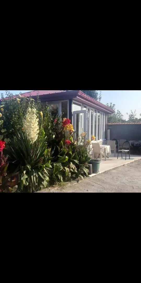 Gio'S Guest House Batumi 0*,  Georgia